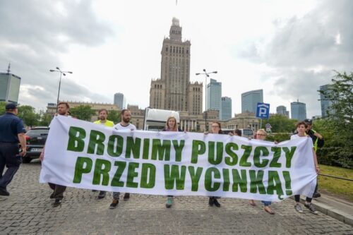 puszcza białowieska, jan szyszko, ministerstwo środowiska, wycinka drzew w puszczy, protest ekologów