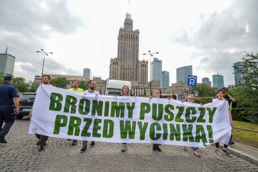 puszcza białowieska, jan szyszko, ministerstwo środowiska, wycinka drzew w puszczy, protest ekologów