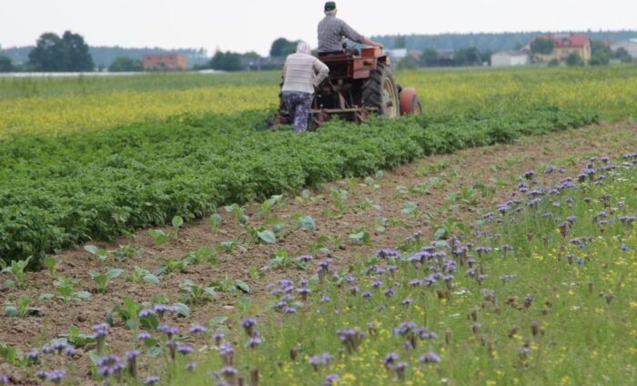 rolnictwo, budżet rolny, dotacje, ue