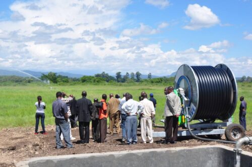 SGGW, susza, uprawa, walka z suszą w Afryce, Tanzania, Tengeru