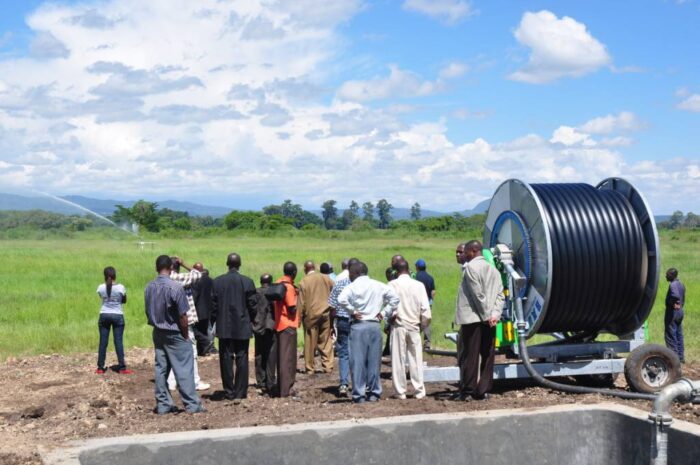 SGGW, susza, uprawa, walka z suszą w Afryce, Tanzania, Tengeru