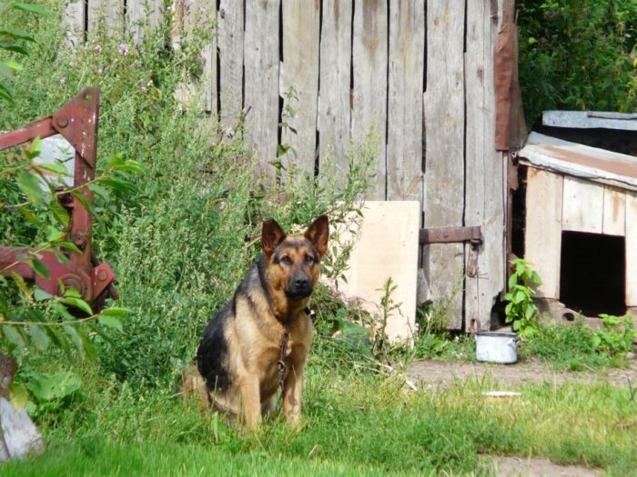 ubóstwo na wsi, ubóstwo skrajne, ubóstwo relatywne, gus, gospodarstwa domowe
