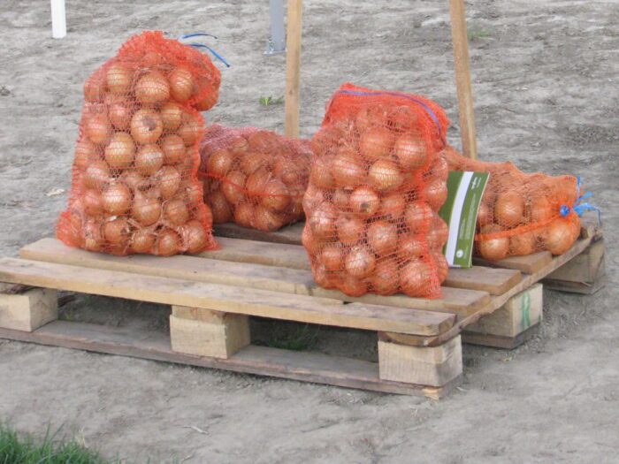 umowy na dostawę produktów rolnych, rolnik, przetwórca, rolniczy handel detaliczny, działalność rolnicza