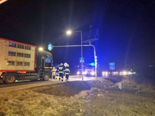 tansport zwierząt, potrącenie kobiety, Agnieszka Petek, Mucharz