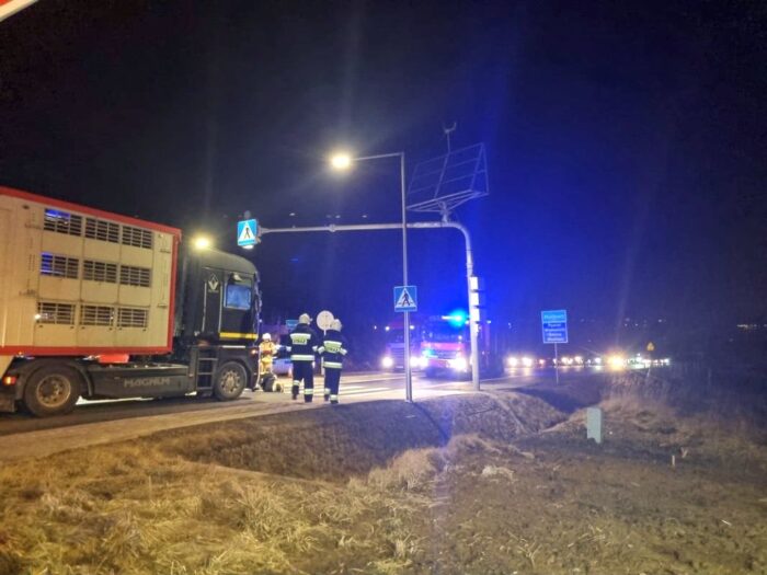 tansport zwierząt, potrącenie kobiety, Agnieszka Petek, Mucharz