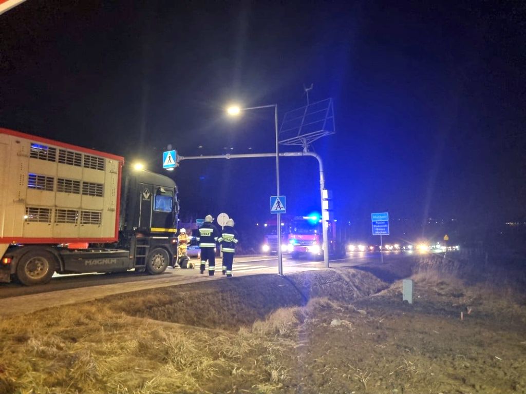 tansport zwierząt, potrącenie kobiety, Agnieszka Petek, Mucharz