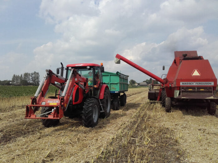 rzepak, kombajn, zbiór, Sahryń