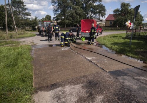 asf w polsce, walka z asf, polska-ukraina, lwow, ewa lech, program bioasekuracji