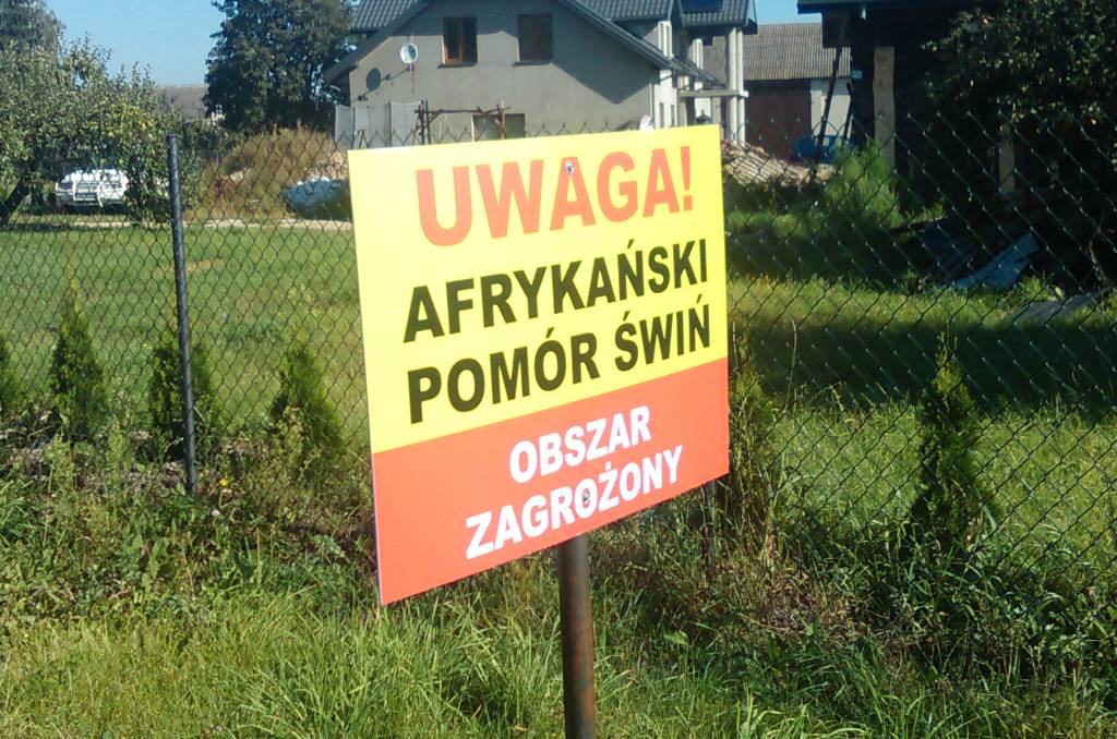 ASF, 19. ognisko,