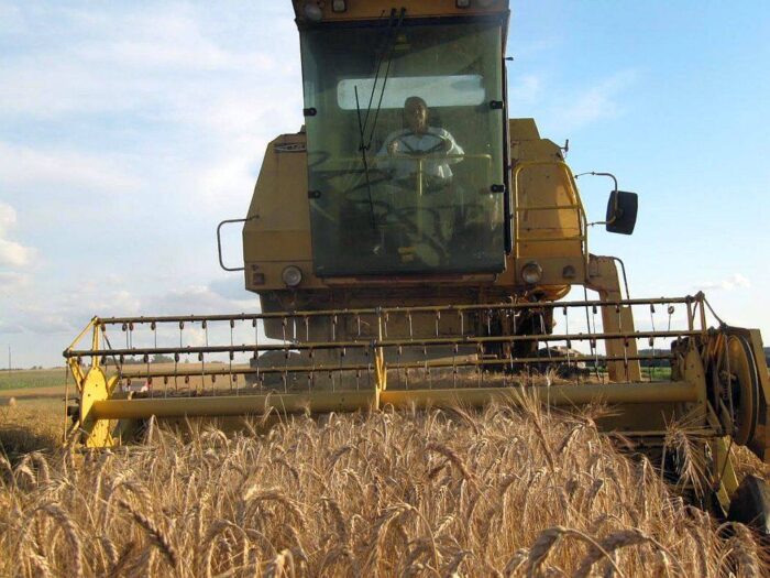 metropolita gdański, arcybiskup Sławoj Leszek Głódź, ksiądz na kombajnie, żniwa