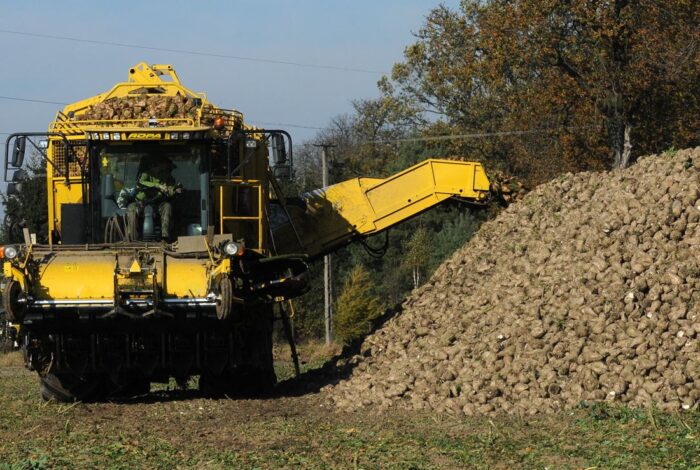 dopłaty bezpośrednie, wypłata zaliczek na poczet dopłat bezpośrednich, ceny płodów rolnych, ceny skupu