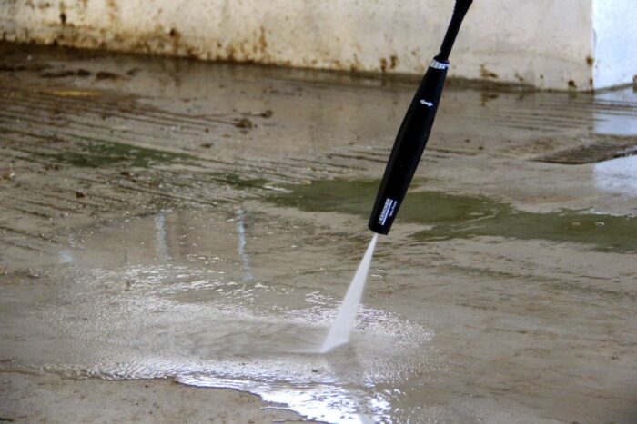 dezynfekcja chlewni, mycie, trzoda chlewna