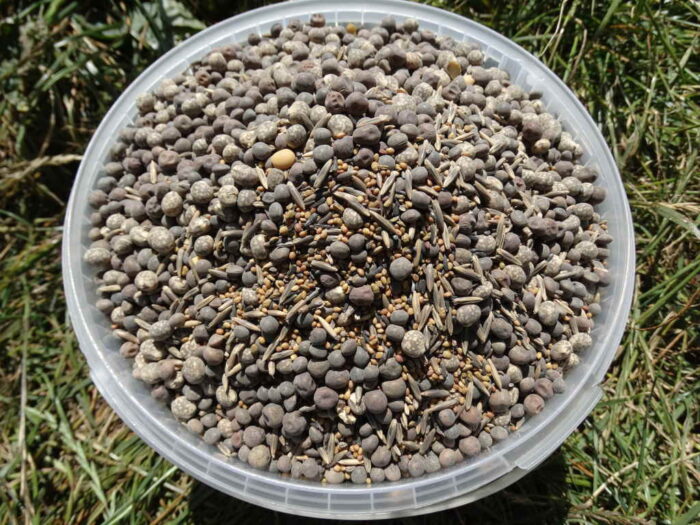 mieszanki, nasiona, międzyplon