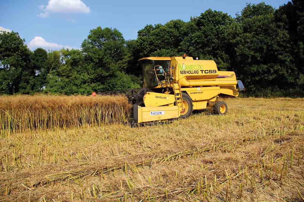 New Holland TC59 Bizon