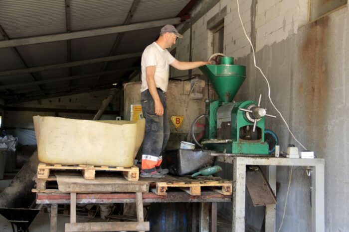 śruta rzepakowa, fotowoltaika, cykl zamknięty, tuczniki