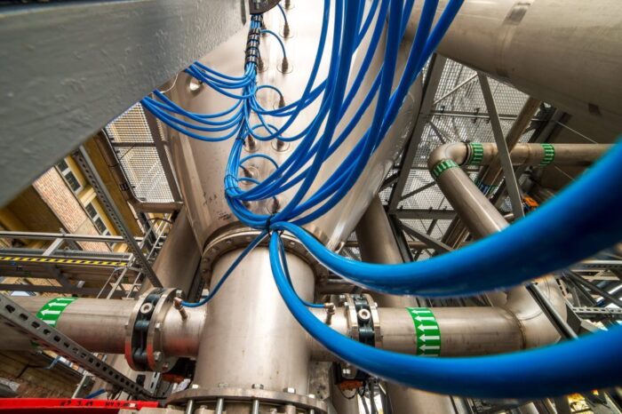 śruta rzepakowa, rzepak, przerób rzepaku, Polskie Stowarzyszenie Producentów Oleju, Adam Stępień