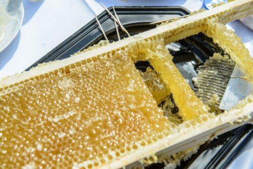 Uniwersytet Śląski w Katowicach, katowice, pasieka na dachu uniwersytetu, pszczoły, ule, pszczele rodziny