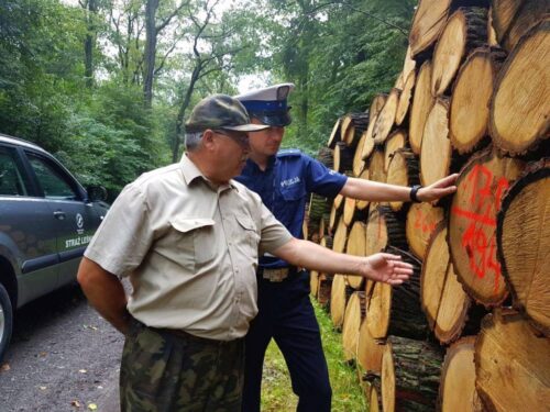 straż leśna, policja, patrol w lesie, drewno, przestępstwo, śląskie