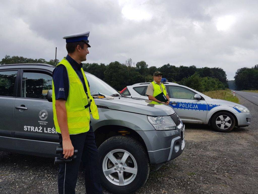 straż leśna, policja, patrol w lesie, drewno, przestępstwo, śląskie