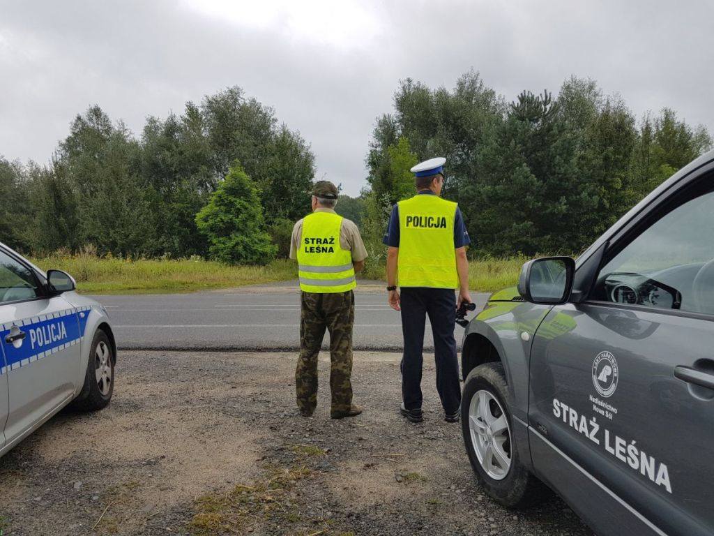 straż leśna, policja, patrol w lesie, drewno, przestępstwo, śląskie