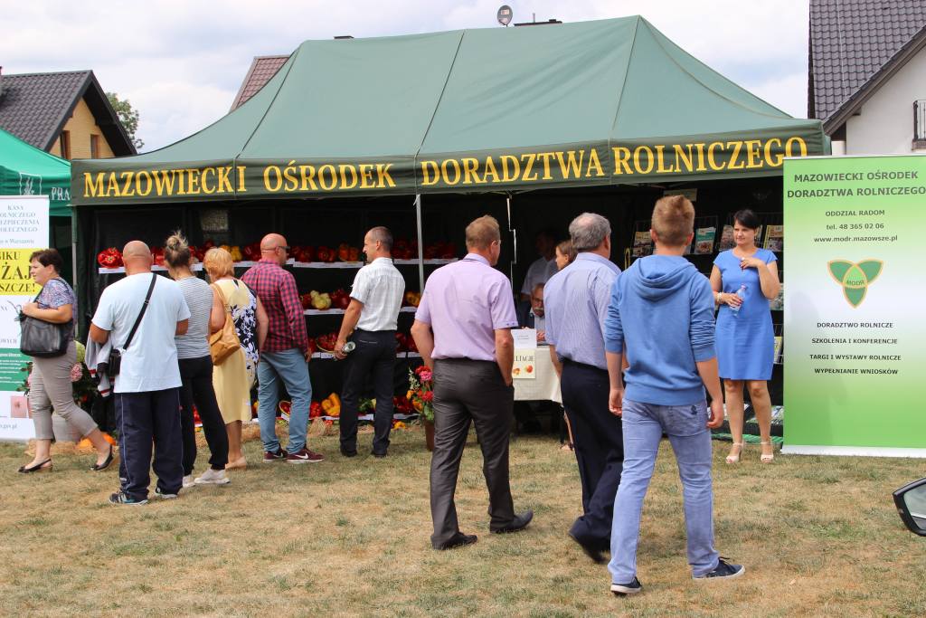 papryka, Potworów, uprawa papryki, XXV Dzień Papryki w Potworowie, paprykowe zagłębie, festyn