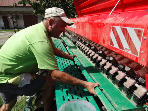 siewnik, siew rzepaku, pole