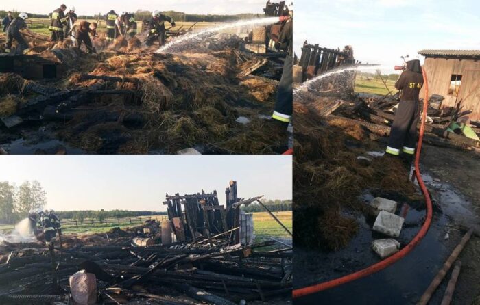 policja, pożar, ochotnicza straż pożarna, OSP, strażacy podpalali łąki i lasy
