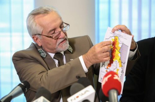 drzewa, burza, wichura, wiatr zniszczył las, Lasy Państwowe, drewno, zniszczenia