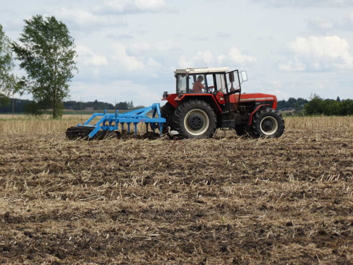 rzepaczysko, uprawa, agregat ścierniskowy, Sahryń