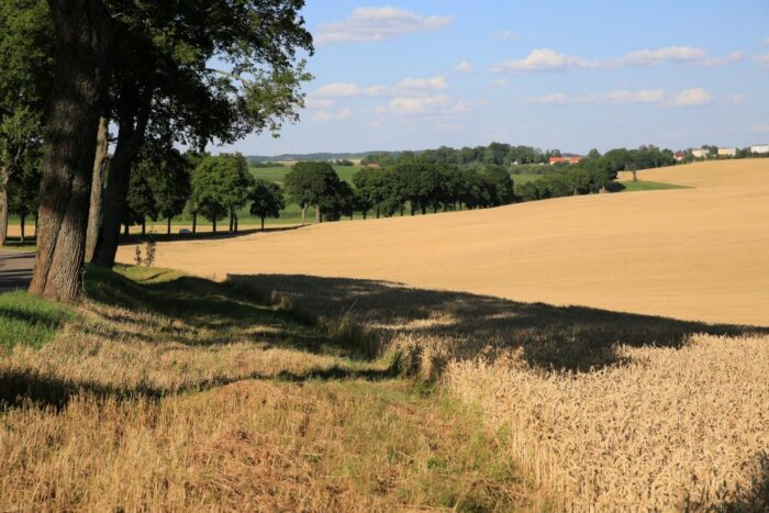 zaliczki dopłat bezpośrednich, dopłaty bezpośrednie, wsparcie dla rolnictwa, krzysztof jurgiel, ministerstwo rolnictwa