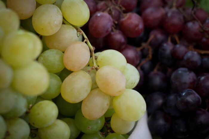 wino lodowe, wino, sprzedaż wina, winnica, alkohol