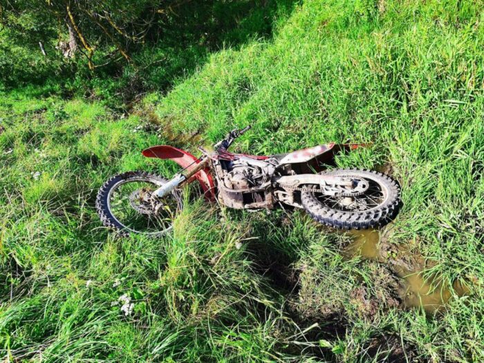 wypadek, zaganianie bydła, pędzenie bydła, motocyklista