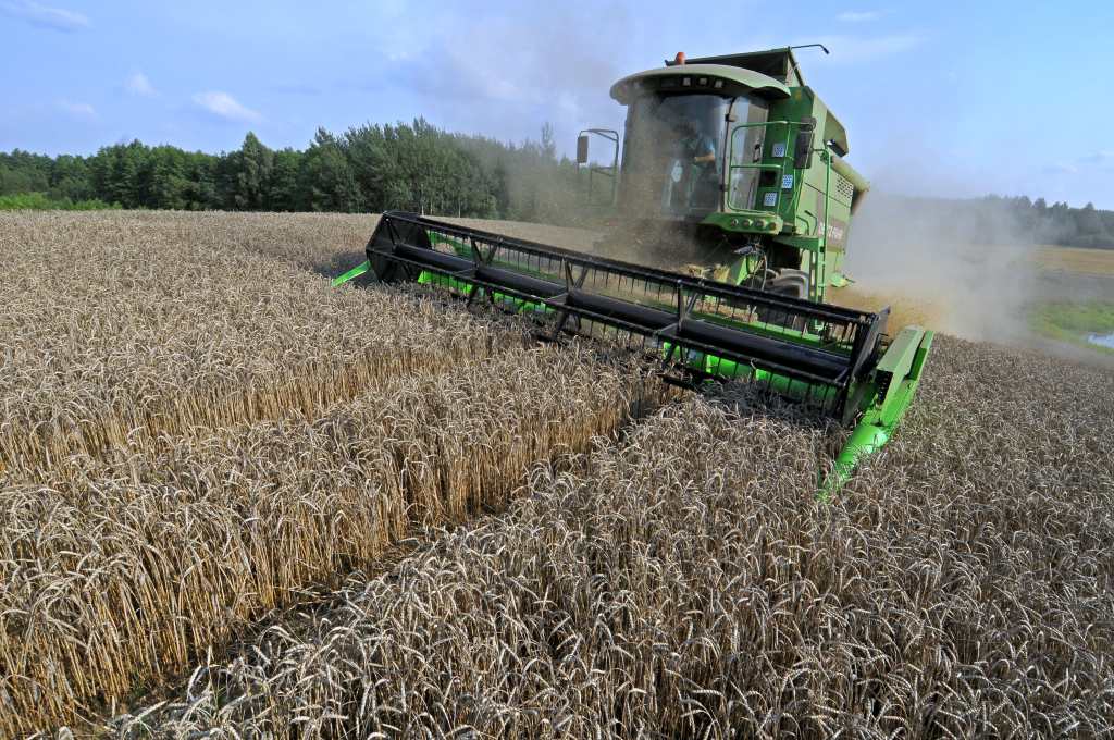 Wspólna Polityka Rolna, WPR, pieniądze na WPR, WWF Polska, rolnictwo, KE