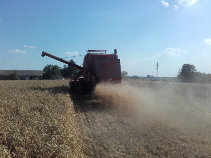 kombajn, pszenica, pole