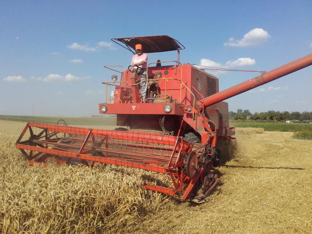 szacunki zbiorów GUS, zbiory zbóż w 2019 roku, zbiory rzepaku, plony, powierzchnia zasiewów, areał uprawy