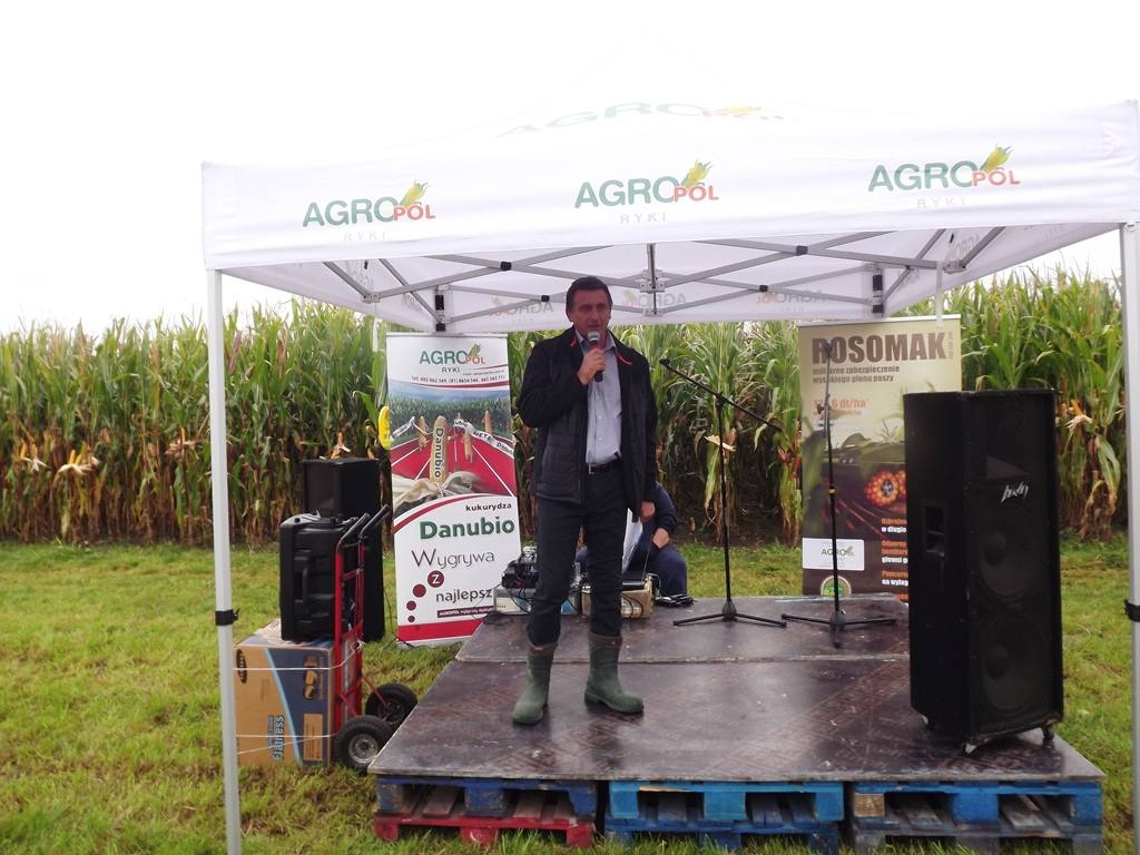 kukurydza, uprawa kukurydzy, właściwy dobór odmiany kukurydzy, Agropol, Ryki, lubelskie