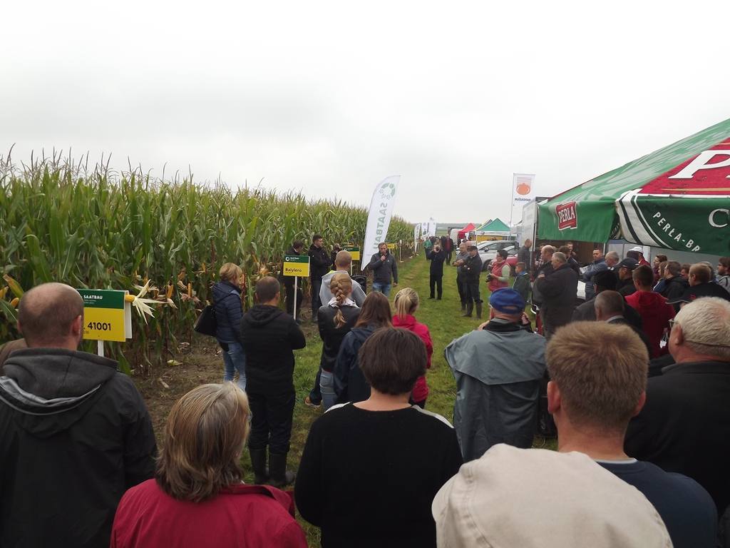 kukurydza, uprawa kukurydzy, właściwy dobór odmiany kukurydzy, Agropol, Ryki, lubelskie