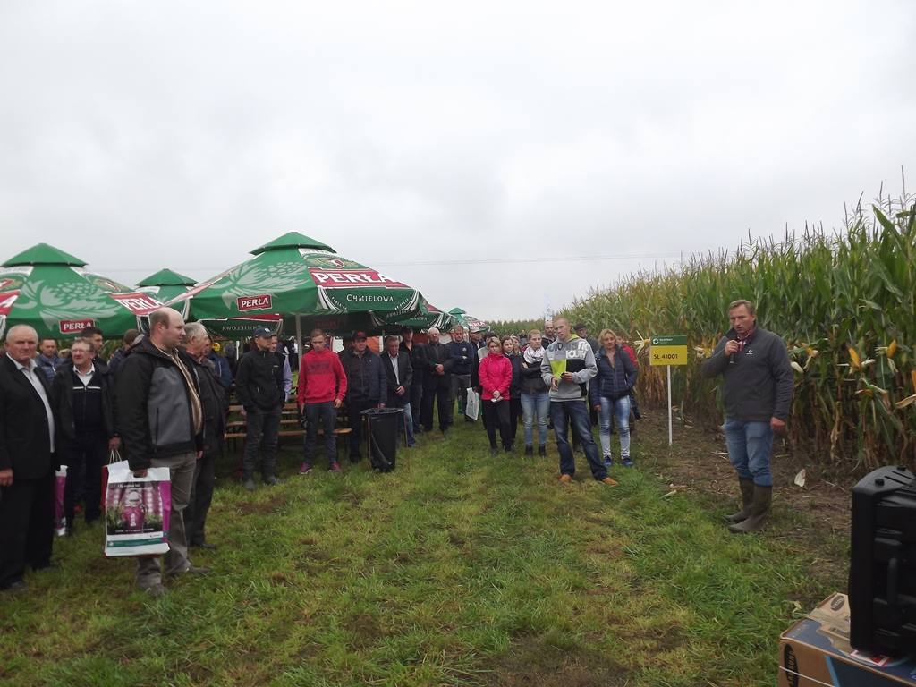 kukurydza, uprawa kukurydzy, właściwy dobór odmiany kukurydzy, Agropol, Ryki, lubelskie