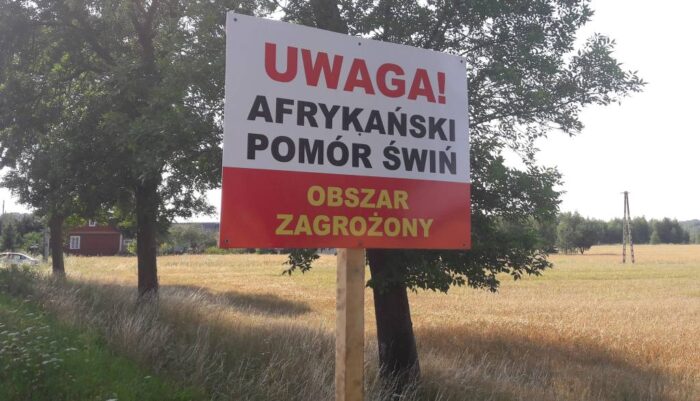 Ustawa o ochronie zdrowia zwierząt, senat, walka z asf, asf, rekompensaty i odszkodowania za likwidację chowu świń