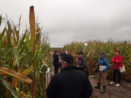 Lubelskie Święto Soi i Kukurydzy, uprawa soi, uprawa kukurydzy, lubelszczyzna