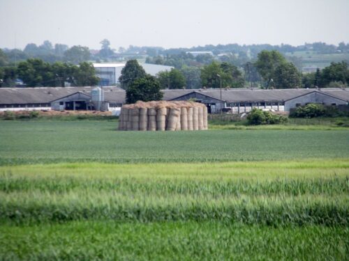 dopłaty bezpośrednie, wypłata zaliczek na poczet dopłat bezpośrednich, ceny płodów rolnych, ceny skupu