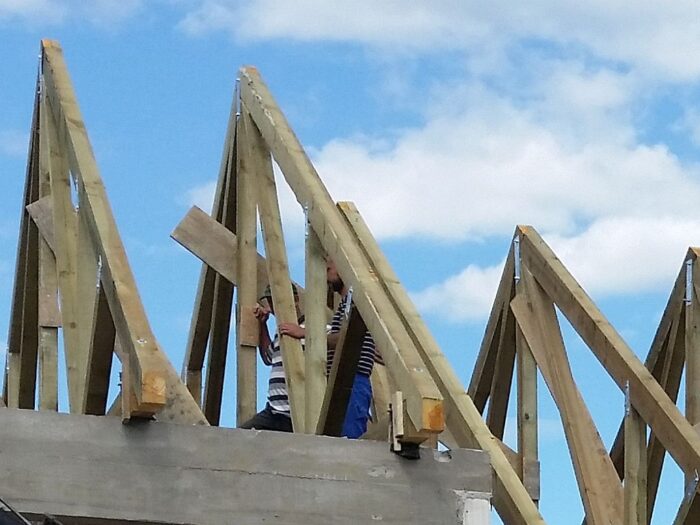 domy z drewna, lasy państwowe, konrad tomaszewski, ekobudownictwo, Polskie domy drewniane-mieszkaj w zgodzie z naturą