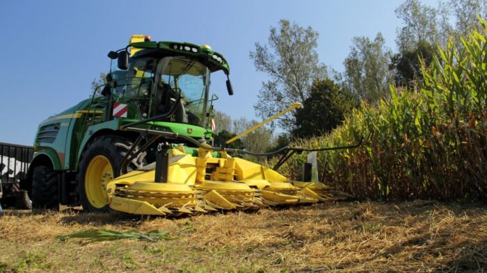 Dzień Kukurydzy, Mrozowo