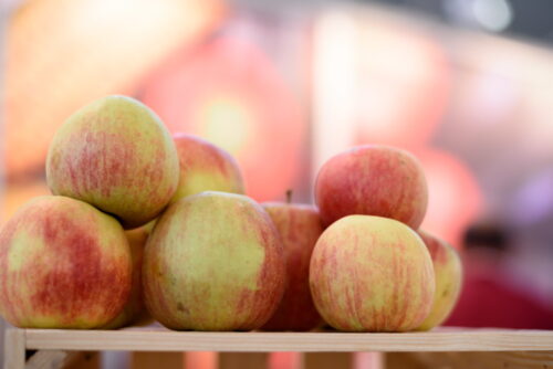 jabłka, sprzedaż jabłek, eksport jabłek, sadownictwo, owoce