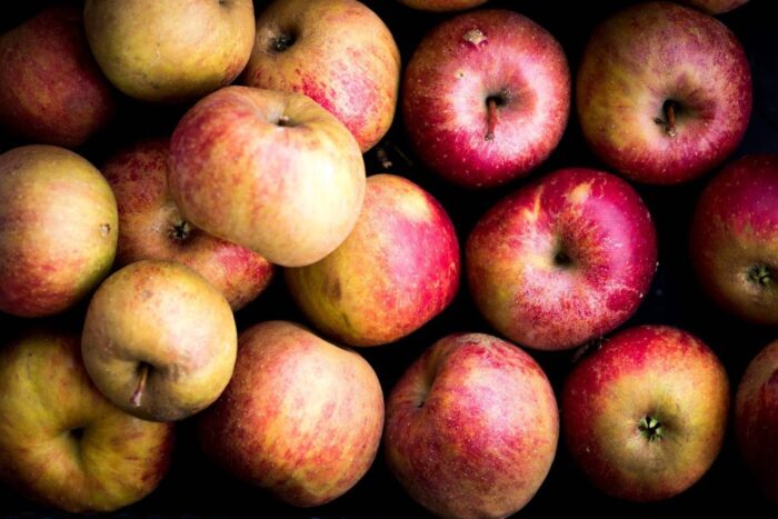 zbiory owoców, zbiory warzyw, gus, wiosenne przymrozki, straty w uprawach