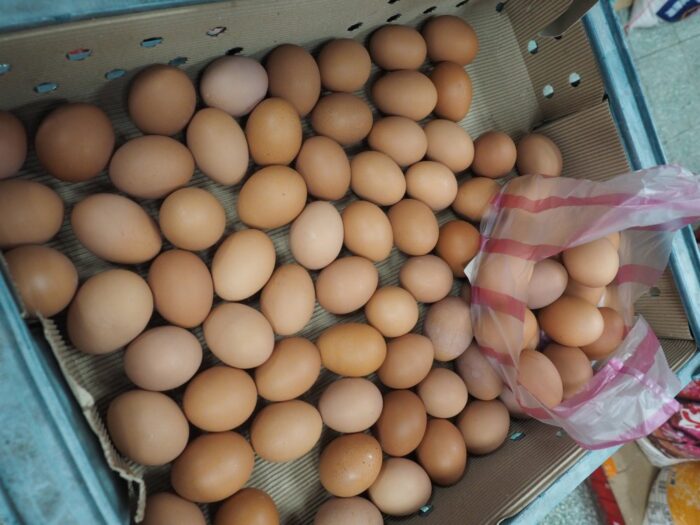 jaja skażone fipronilem, fipronil, skażone jaja, skażony drób, bułgaria