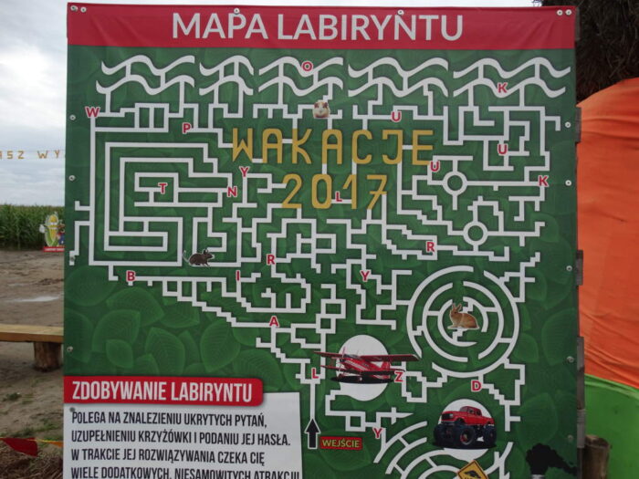 labirynt, Swarzewo, kukurydza