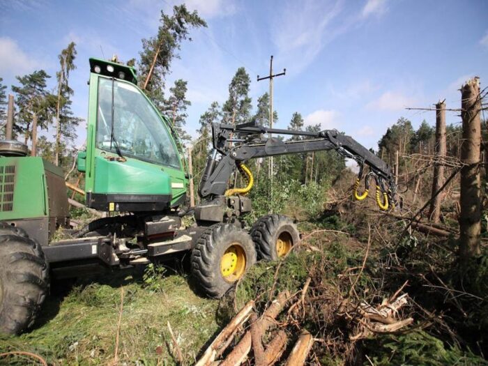 zniszczenia w lasach, lasy państwowe, nawałnice, pomorze, wielkopolska, lasy prywatne
