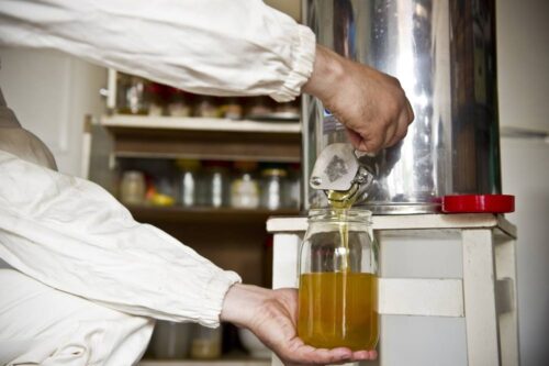 pszczoły, miód, podkarpackie, miód ze spadzi iglastej, zła pogoda