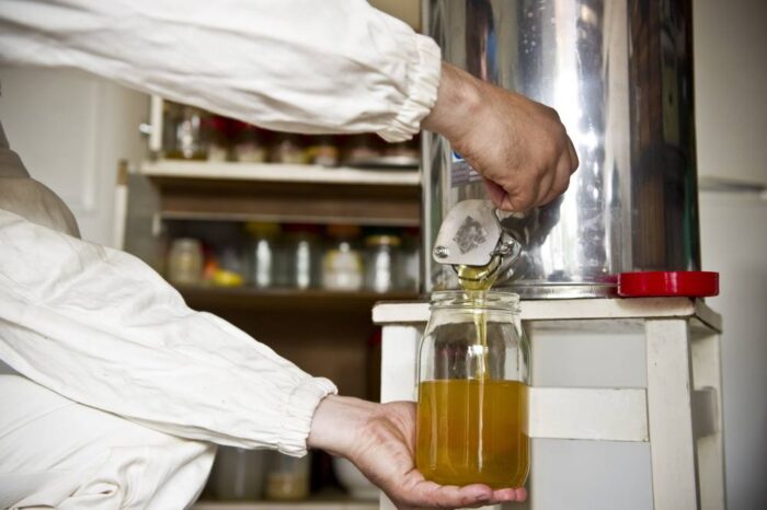 pszczoły, miód, podkarpackie, miód ze spadzi iglastej, zła pogoda